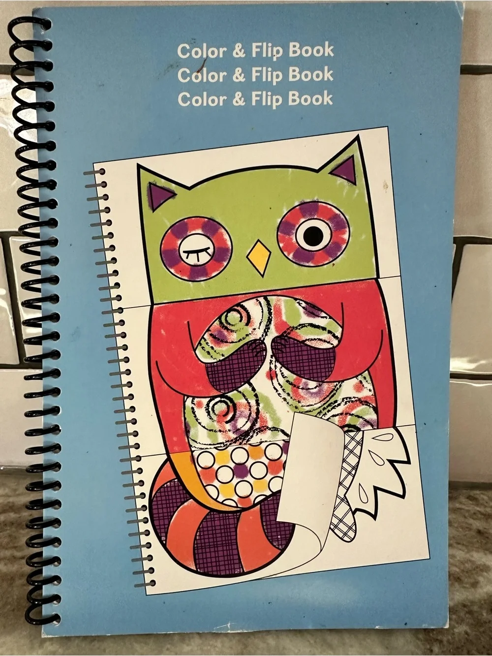 Color & Flip Book Spiral coloring Notebook with Playful Owl Design